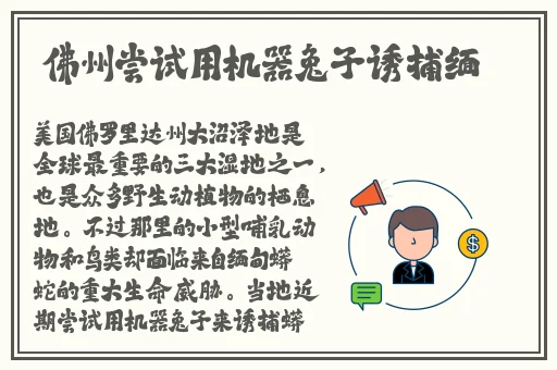 欧美视频在线精品